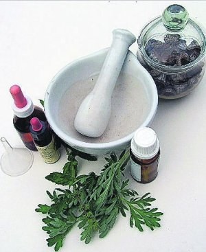 sendabelar ikastaroa