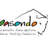 Basondo logo