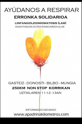 Lasterketa solidarioa 2014