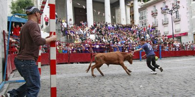 Malenak, fubito zezenakin