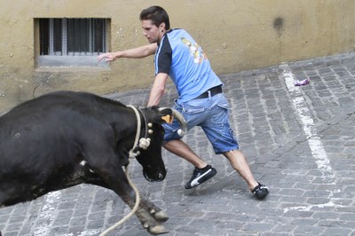 Malenak, sokamuturra