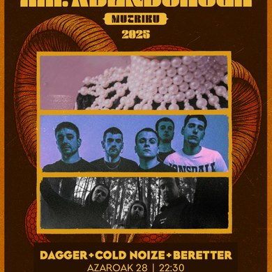 Indexes all content in the site