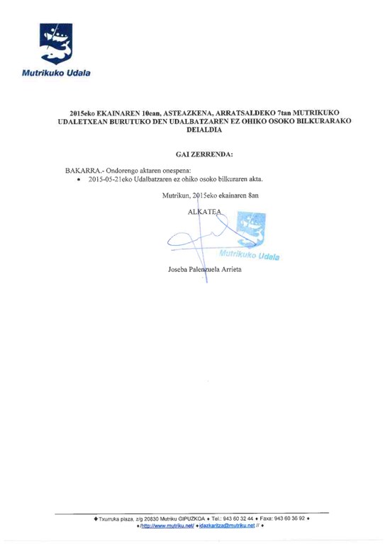 ez ohiko udalbatza 2015-06