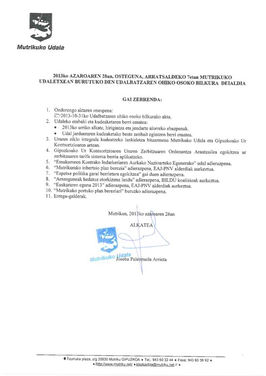 Udalbatza 2013-11-28