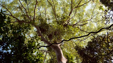 MUTRIKUKO UDALAK UDALERRIKO NATURA BABESTEN ETA HOBETZEN DIHARDU