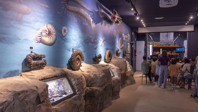 Nautilus mutrikuko ikasgune geologikoak ateak itxiko ditu igandean, “talaixa geomuseoa” gune berriari bide emateko
