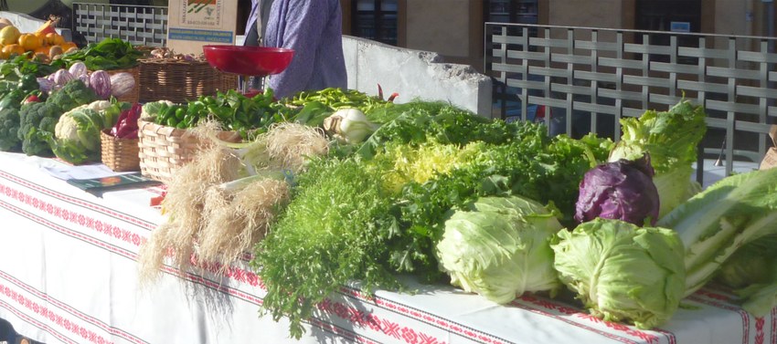 baserriko produktuak baserriko produktuak