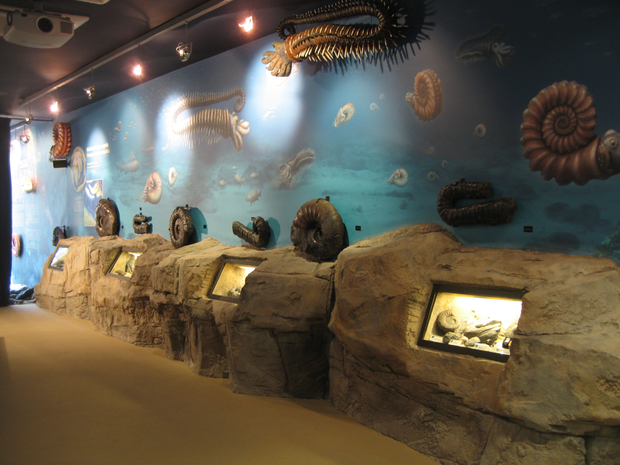 Nautilus museoa