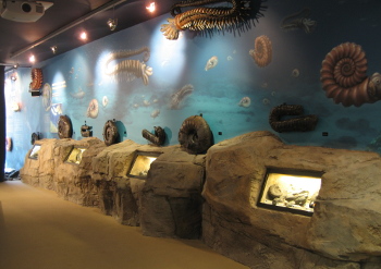 Nautilus museoa